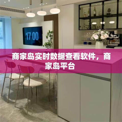 商家岛实时数据查看软件，商家岛平台 
