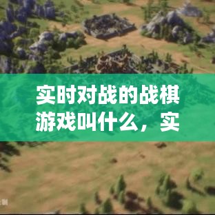 实时对战的战棋游戏叫什么，实时对战的战棋游戏叫什么游戏 