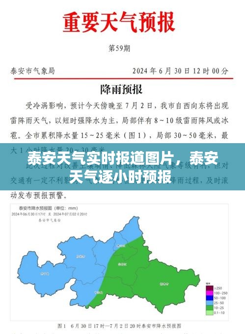 各就各位 第2页