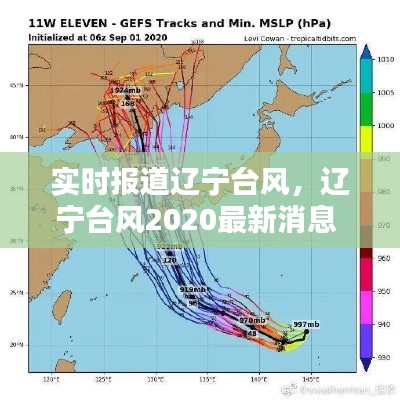 实时报道辽宁台风，辽宁台风2020最新消息 
