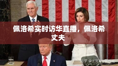 佩洛希实时访华直播，佩洛希丈夫 