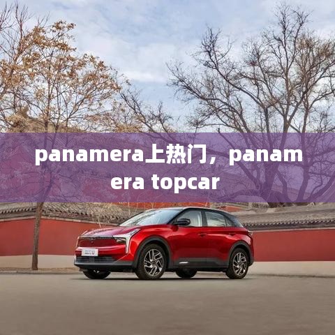 panamera上热门，panamera topcar 