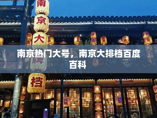南京热门大号，南京大排档百度百科 