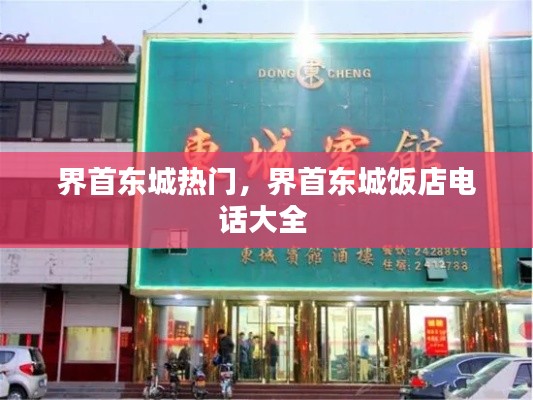 界首东城热门，界首东城饭店电话大全 