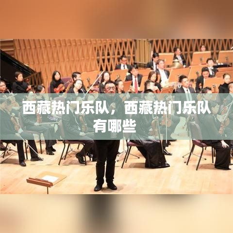 西藏热门乐队，西藏热门乐队有哪些 