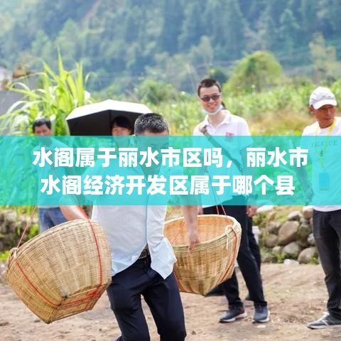 三足鼎立 第2页
