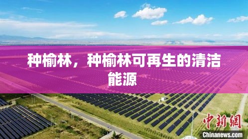 种榆林，种榆林可再生的清洁能源 