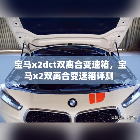 踊贵屦贱 第2页