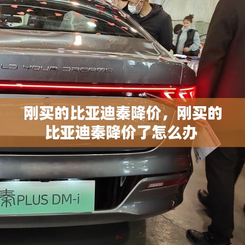 刚买的比亚迪秦降价，刚买的比亚迪秦降价了怎么办 