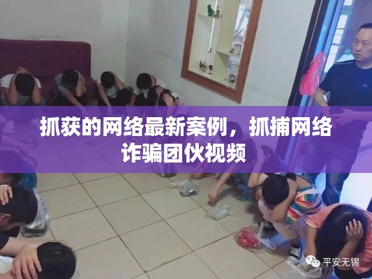 抓获的网络最新案例，抓捕网络诈骗团伙视频 