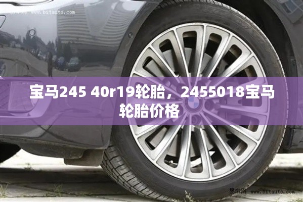宝马245 40r19轮胎，2455018宝马轮胎价格 