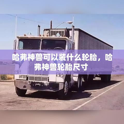 哈弗神兽可以装什么轮胎，哈弗神兽轮胎尺寸 