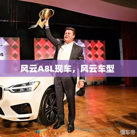 风云A8L现车，风云车型 