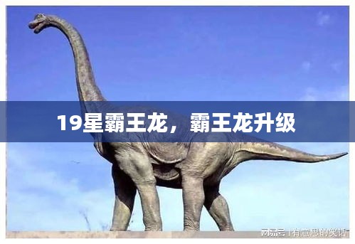 19星霸王龙，霸王龙升级 