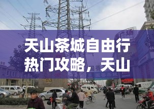 天山茶城自由行热门攻略，天山茶城怎么样 