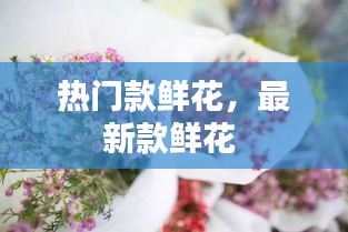 热门款鲜花，最新款鲜花 