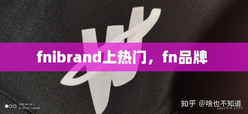 fnibrand上热门，fn品牌 