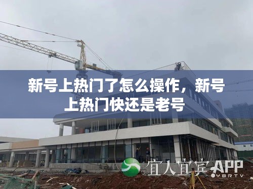 法不阿贵 第2页