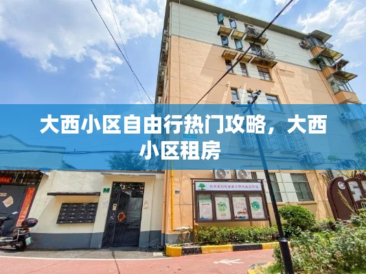 大西小区自由行热门攻略，大西小区租房 