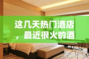 这几天热门酒店，最近很火的酒店 