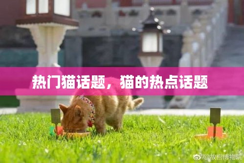 雪中送炭 第2页