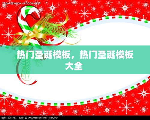 鸟覆危巢 第2页