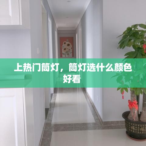 上热门筒灯，筒灯选什么颜色好看 