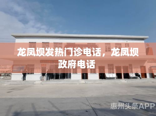 龙凤坝发热门诊电话，龙凤坝政府电话 