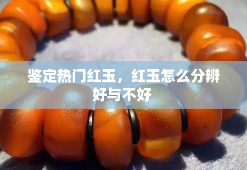 鉴定热门红玉，红玉怎么分辨好与不好 