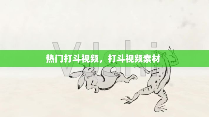 热门打斗视频，打斗视频素材 