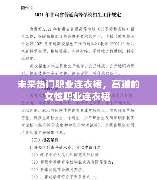 未来热门职业连衣裙，高端的女性职业连衣裙 