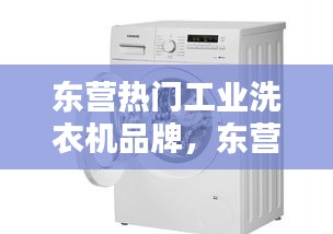 东营热门工业洗衣机品牌，东营洗衣机清洗公司 