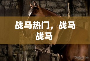 接连不断 第2页