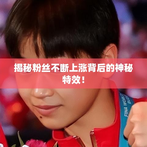 揭秘粉丝不断上涨背后的神秘特效！