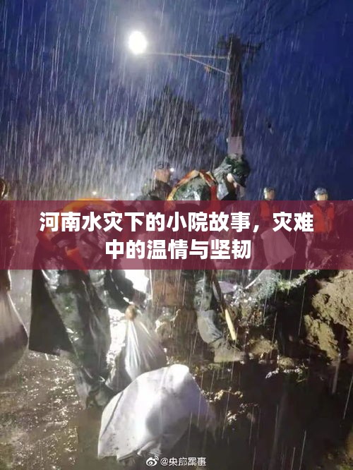 河南水灾下的小院故事，灾难中的温情与坚韧