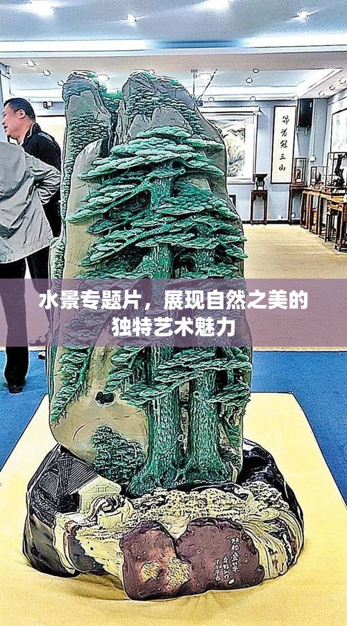水景专题片，展现自然之美的独特艺术魅力