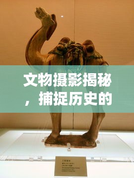 文物摄影揭秘，捕捉历史的瞬间魅力