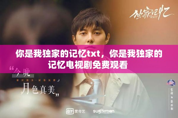 你是我独家的记忆txt，你是我独家的记忆电视剧免费观看 