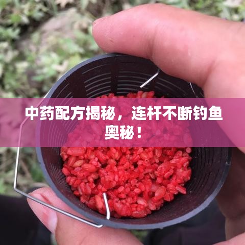 中药配方揭秘，连杆不断钓鱼奥秘！