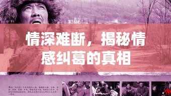 情深难断，揭秘情感纠葛的真相