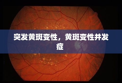鸟吏鼈官 第2页