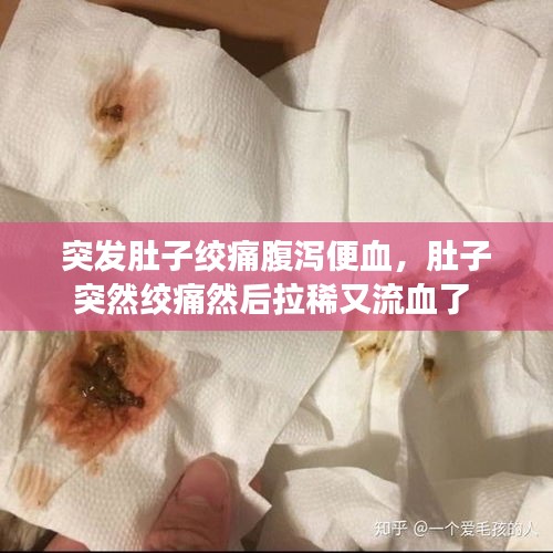 突发肚子绞痛腹泻便血，肚子突然绞痛然后拉稀又流血了 