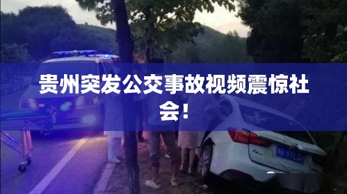 手不释卷 第2页