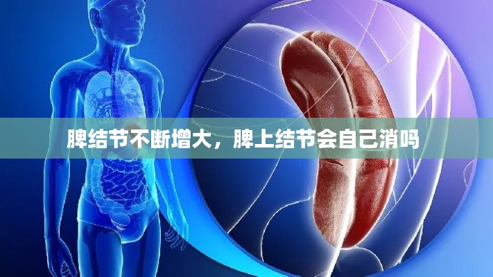 脾结节不断增大，脾上结节会自己消吗 