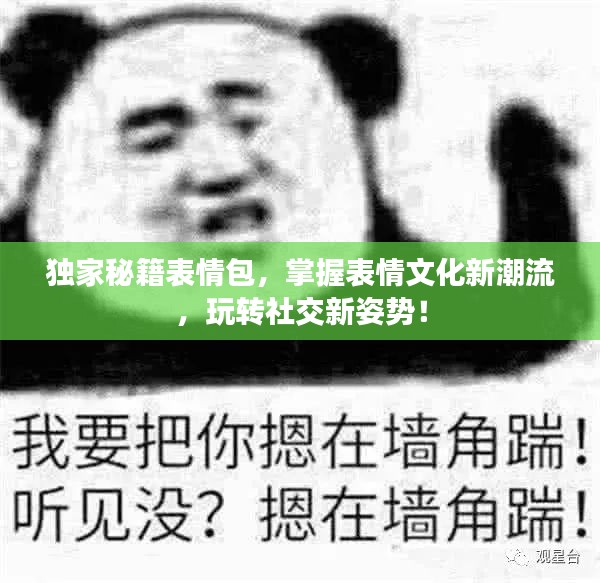独家秘籍表情包，掌握表情文化新潮流，玩转社交新姿势！