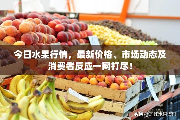 今日水果行情，最新价格、市场动态及消费者反应一网打尽！