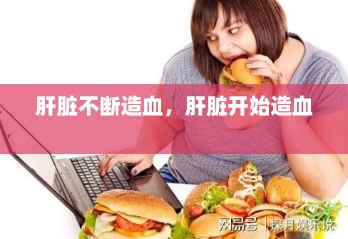 肝脏不断造血，肝脏开始造血 