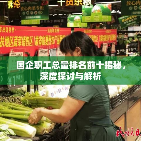 国企职工总量排名前十揭秘，深度探讨与解析