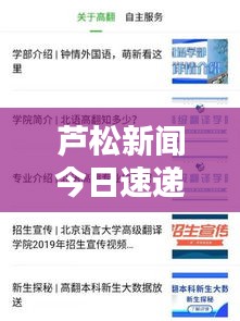 芦松新闻今日速递，最新消息全面解析