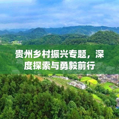 贵州乡村振兴专题，深度探索与勇毅前行